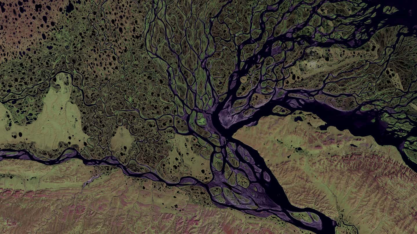 False-colour satellite image of a river delta showing braided channel networks and land-cover zones.